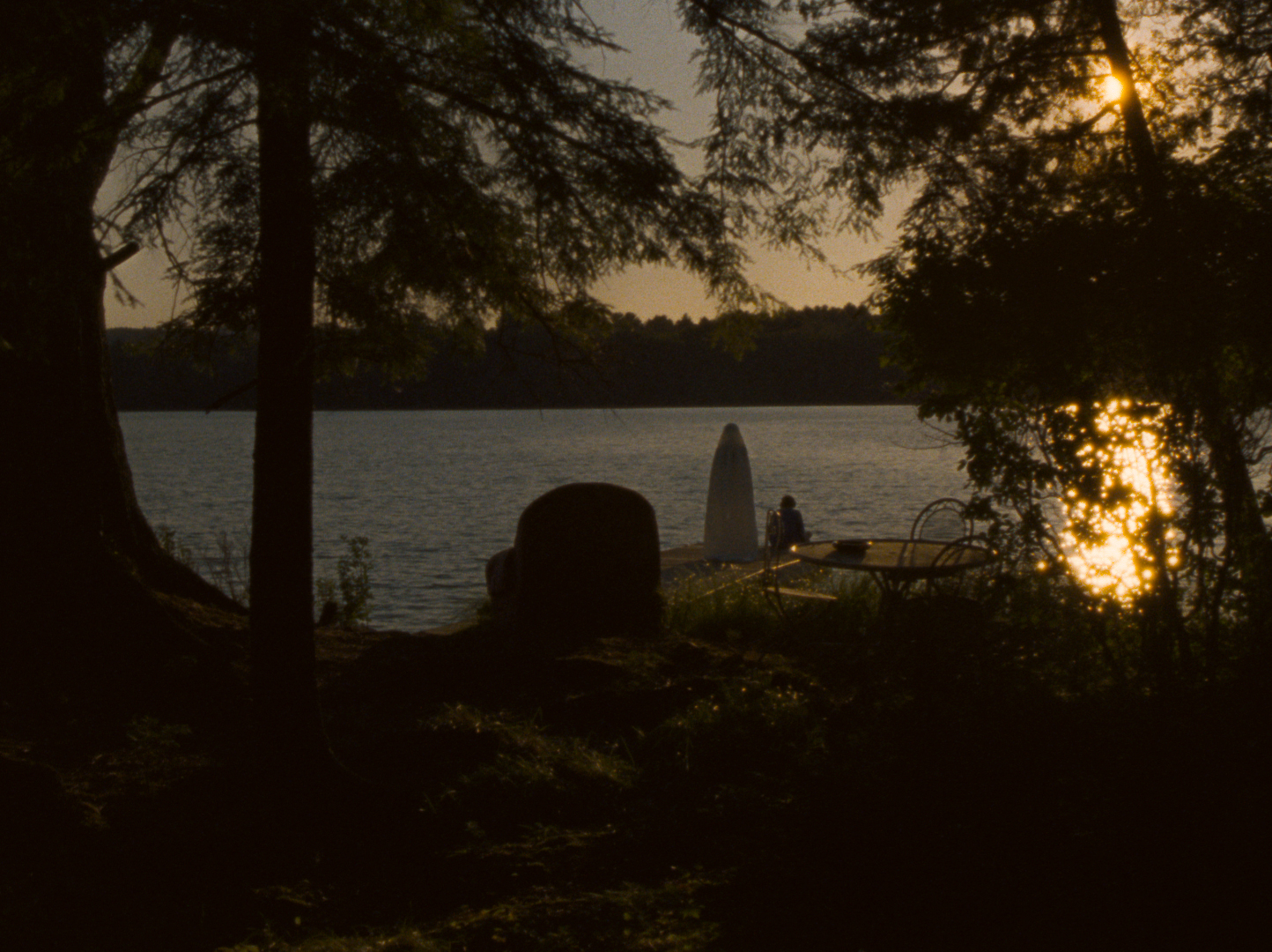 Falcon Lake image film