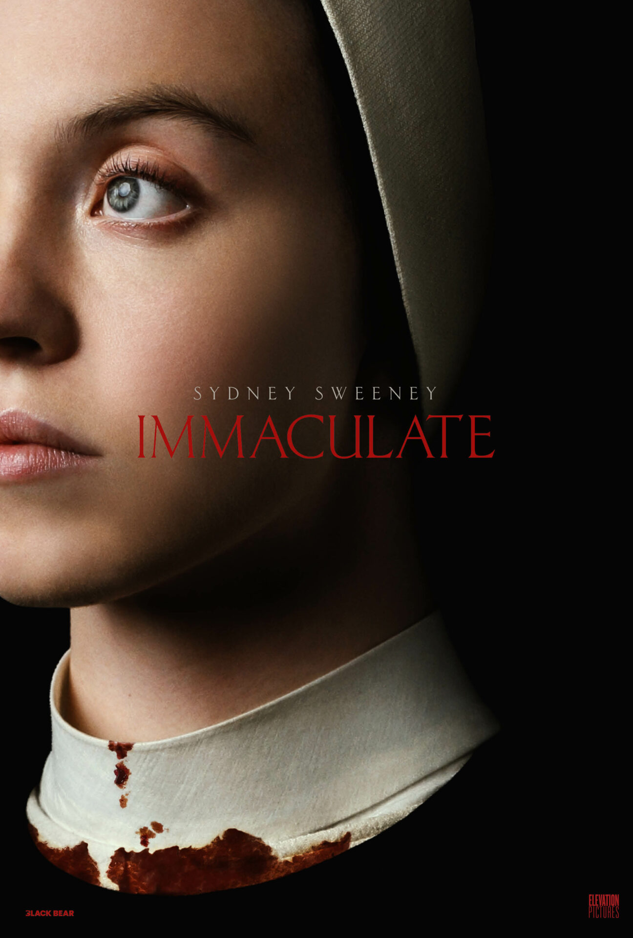 IMMACULATE Poster ENG